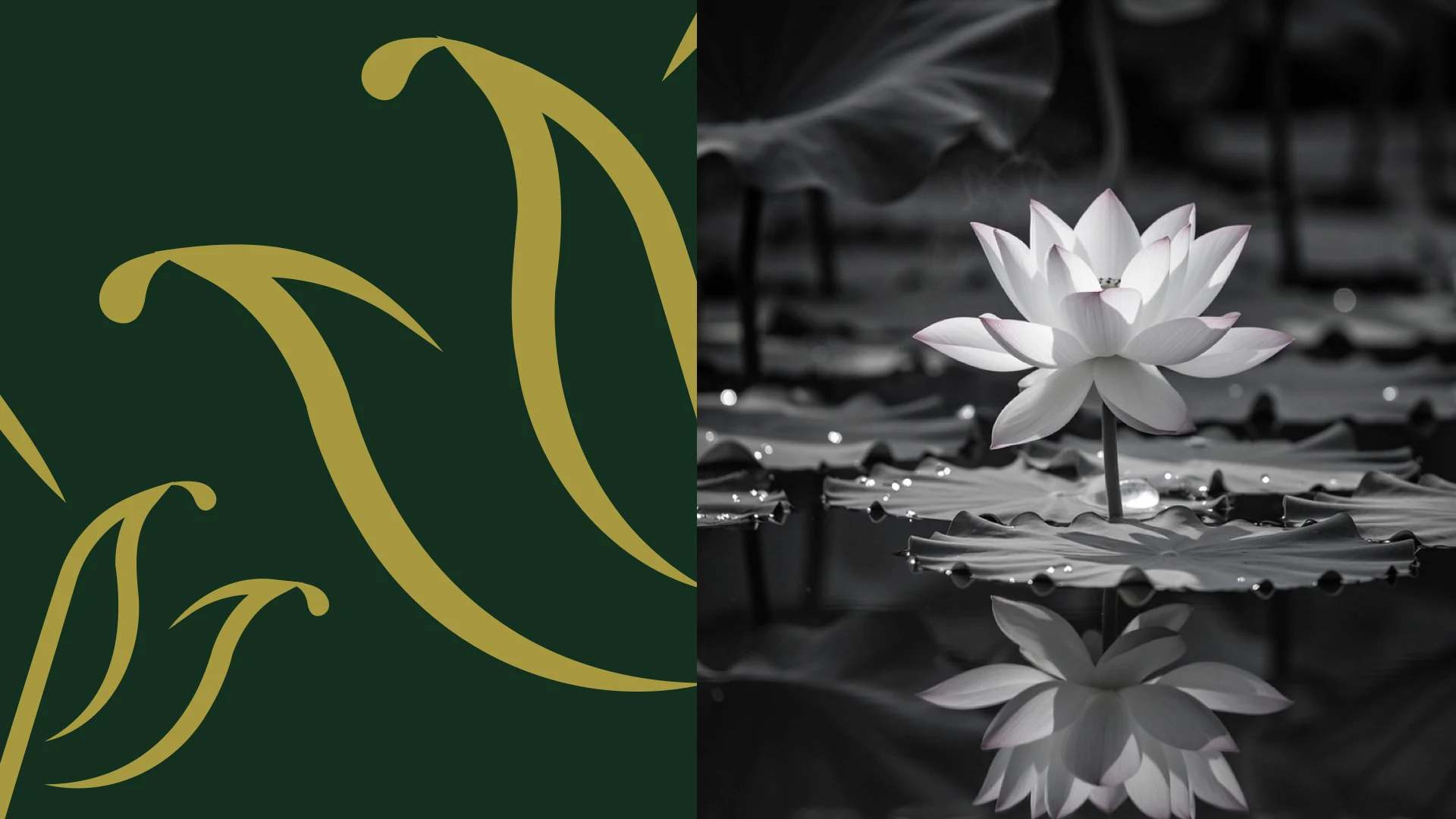 Vishnu Priya lotus symbol exploration